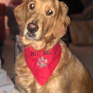 Meet your Posher, Margaret